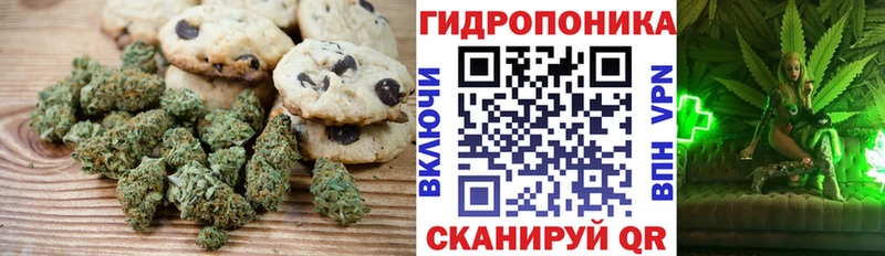 цены наркотик  Шиханы  Печенье с ТГК конопля 