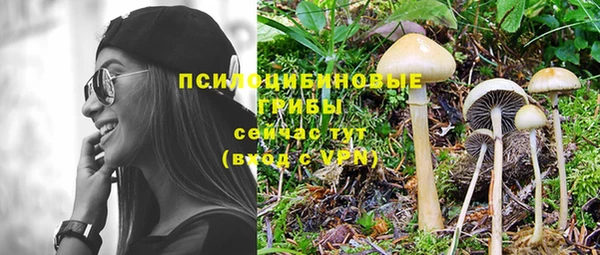 индика Армянск