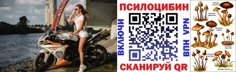 Галлюциногенные грибы Psilocybine cubensis  цены наркотик  Шиханы 